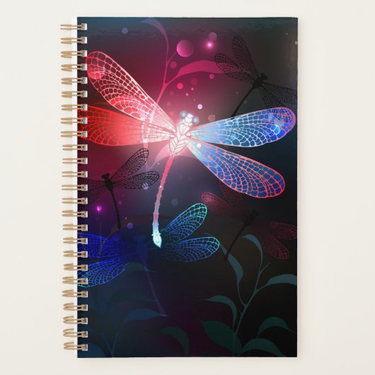 Glimmerne Rote Libelle Planer (Vorderseite)