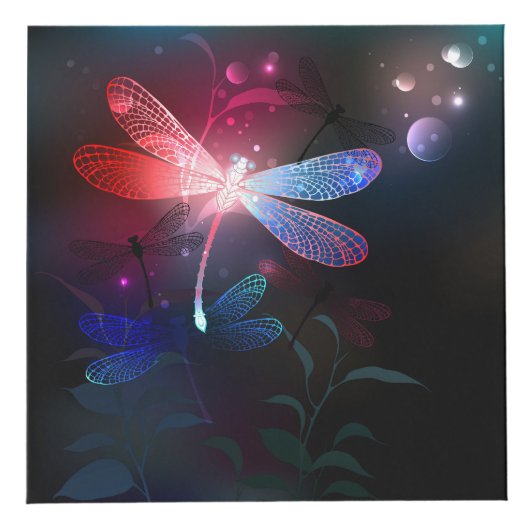 Glimmerne Rote Libelle Würfel (Vorderseite)