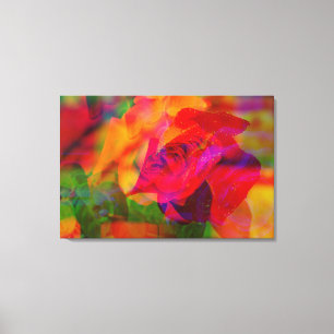 GLITCH ART einer feuchten Rose auf Leinwanddruck