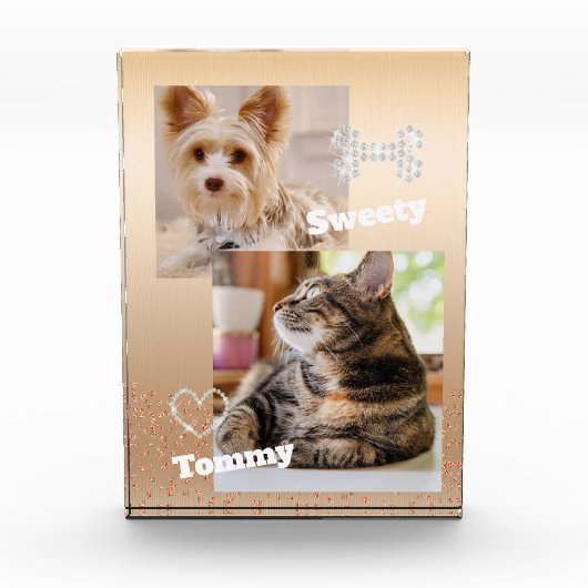 Glitering Pet Gold Fotoblock (Vorderseite)