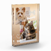 Glitering Pet Gold Fotoblock (Links)