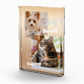 Glitering Pet Gold Fotoblock (Rechts)
