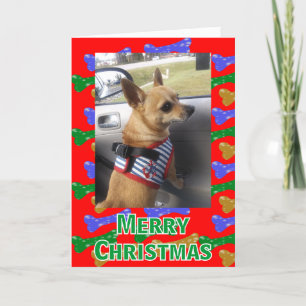 Glitterie Dog Knochen Jedes Foto Weihnachtskarte Feiertagskarte
