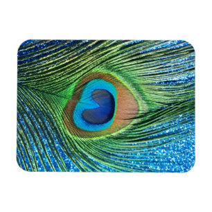 Glittery blaues Pfau-Feder-Stillleben Magnet