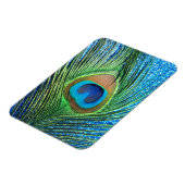 Glittery blaues Pfau-Feder-Stillleben Magnet (Linke Seite)