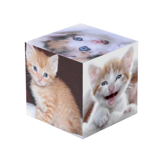 Glittery Silver Foil Fancy Monogram Würfel (Rückseite Schrägansicht)