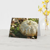 Glitzer Pumpkin Karte (Gelbe Blume)