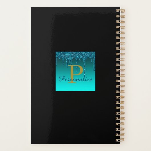 Glitzer Sparkle Individuelle Name Monogram Persona Planer (Rückseite)