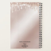 Glitzer Tropfen Makeup Eyebrow Eyes Lashes Rose Go Planer (Rückseite)