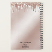 Glitzer Tropfen Makeup Eyebrow Eyes Lashes Rose Go Planer (Rückseite)