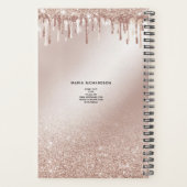 Glitzer Tropfen Makeup Eyebrow Eyes Lashes Rose Go Planer (Rückseite)