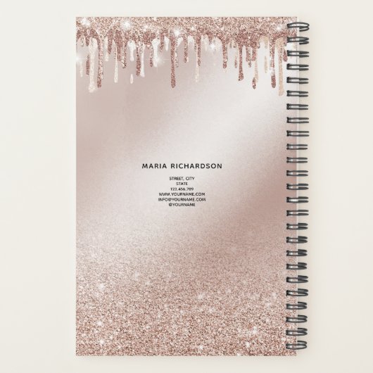 Glitzer Tropfen Makeup Eyebrow Eyes Lashes Rose Go Planer (Rückseite)