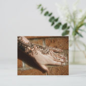 Glitzer und Steine Postkarte (Stehend Vorderseite)