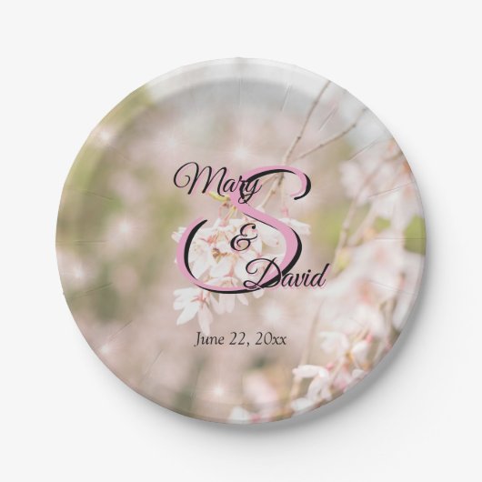 Glitzern mit hellen Winden Hochzeiten Pappteller (Vorderseite)