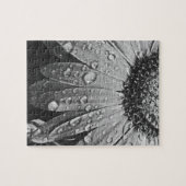 Glitzernde Regen-Tropfen auf Gänseblümchen-Blume Puzzle (Horizontal)