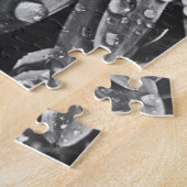 Glitzernde Regen-Tropfen auf Gänseblümchen-Blume Puzzle (Seite)