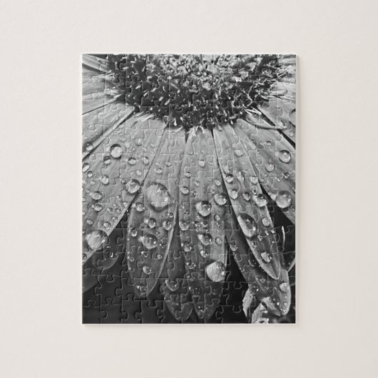 Glitzernde Regen-Tropfen auf Gänseblümchen-Blume Puzzle (Vertikal)