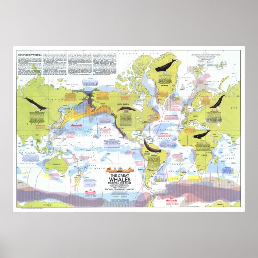 " Global: 1976 - Wale der Welt Wanderkarte ... Poster (Vorne)