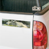 Globale Erwärmung ist zum Kotzen! Polarer Autoaufkleber (Auf Lkw)