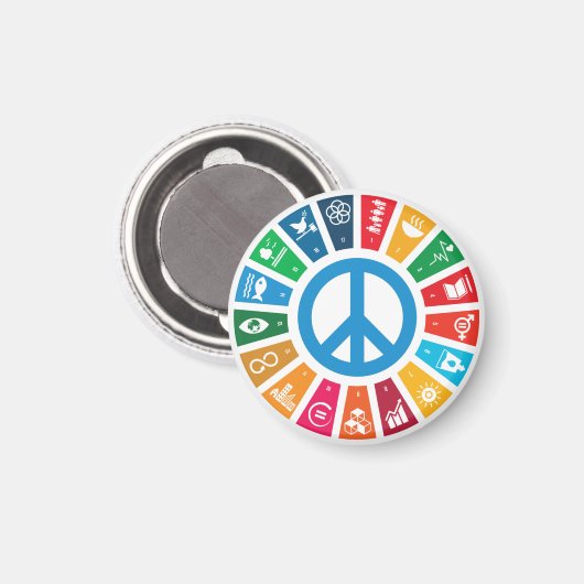 Globale Nachhaltigkeitsziele Trendy Inspirierend G Magnet (Vorderseite/Rückseite)