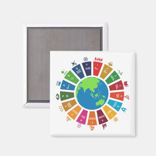 Globale Ziele UN SDG 2030 Magnet (Vorderseite/Rückseite)