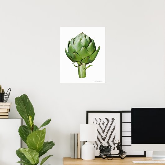 Globe Artichoke auf weißem Hintergrund ausschneide Poster (Heimbüro)