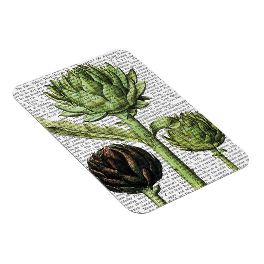 Globe Artichoke Print 2 Magnet (Rechte Seite)