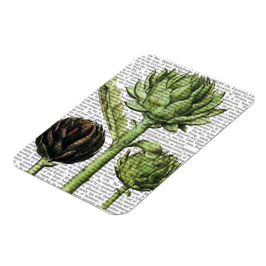Globe Artichoke Print 2 Magnet (Linke Seite)