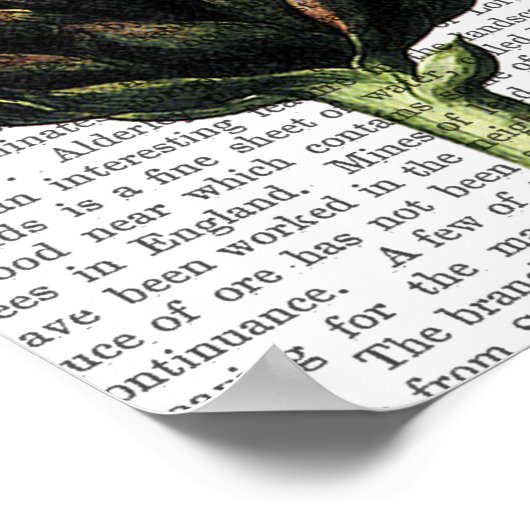 Globe Artichoke Print Poster (Ecke)