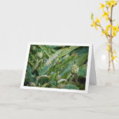 Globe Artichoke Thistle Pflanze Karte (Gelbe Blume)