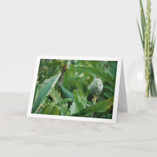 Globe Artichoke Thistle Pflanze Karte (Vorderseite)