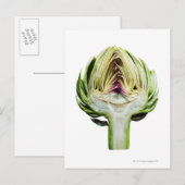 Globe Artischocken-Halbausschnitt Postkarte (Vorne/Hinten)
