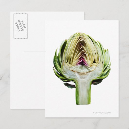 Globe Artischocken-Halbausschnitt Postkarte (Vorne/Hinten)