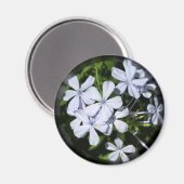 Globe der Blume Magnet (Vorderseite/Rückseite)