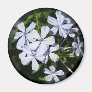 Globe der Blume Magnet