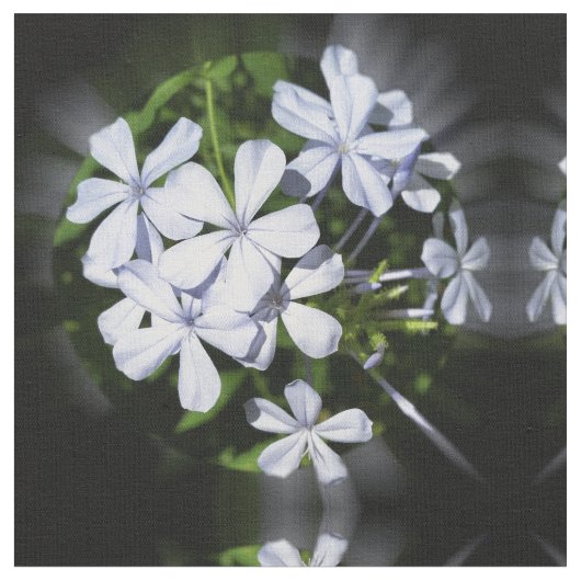 Globe der Blume Stoff (Nahaufnahme)