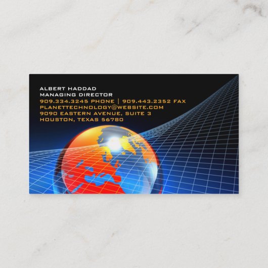 Globe Grid Business Card Visitenkarte (Rückseite)