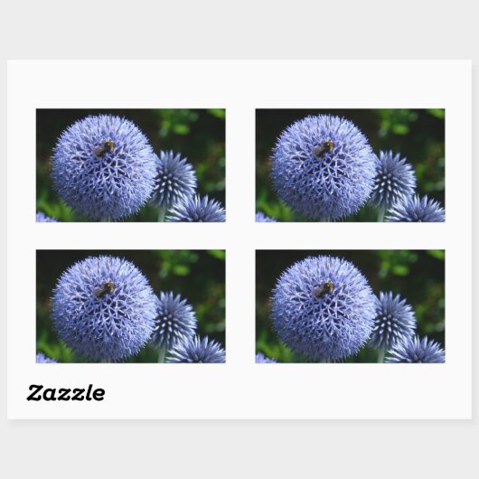 Globe Thistle Blume Sticker (Blatt)