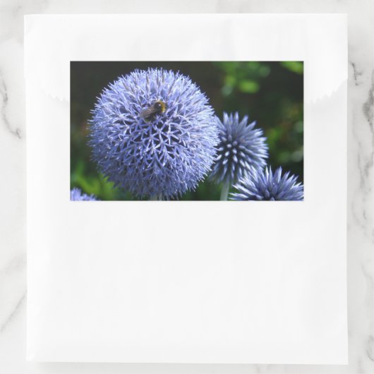 Globe Thistle Blume Sticker (Tasche)