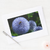 Globe Thistle Blume Sticker (Umschlag)