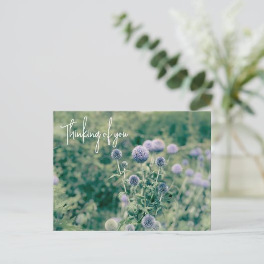 Globe Thistle Denken Sie an Sie Postkarte (Stehend Vorderseite)