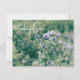 Globe Thistle Denken Sie an Sie Postkarte