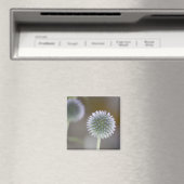 Globe Thistle Magnet (In Situ (Geschirrspüler))