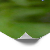 Globe Thistle Poster (Ecke)