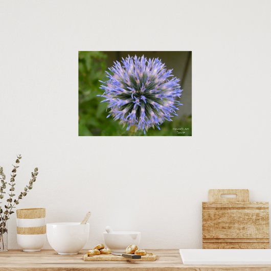 Globe Thistle Poster (Küche)