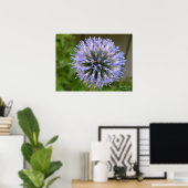 Globe Thistle Poster (Heimbüro)