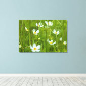 Globeblumen Leinwanddruck (Insitu (Holzboden))