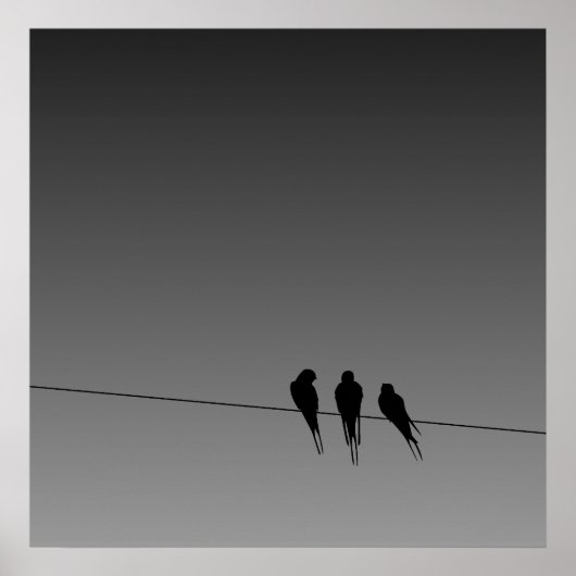 Globende Blackbirds Silhouette auf Wire Poster (Vorne)