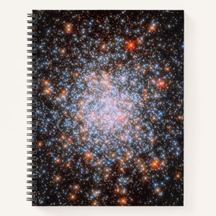 Globular Cluster NGC 1866 Notizblock