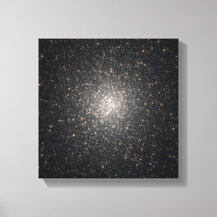 Globular Cluster NGC 2808 Leinwanddruck